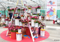 Multicolors, de naam spreekt voor zich. Een kleurrijk concept.